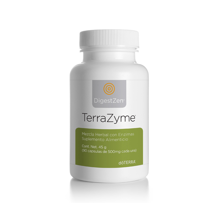 DigestZen Terrazyme Digestive Enzyme Complex